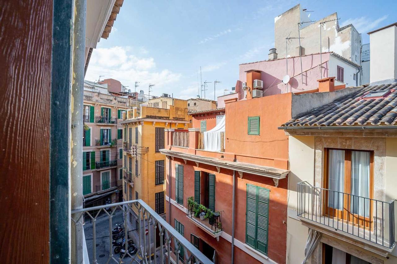 Appartement - Ti Palma